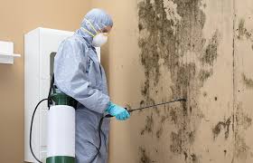 Best Forensic Mold Investigation  in Lake Winnebago, MO